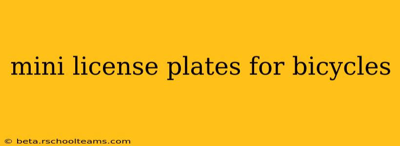 mini license plates for bicycles
