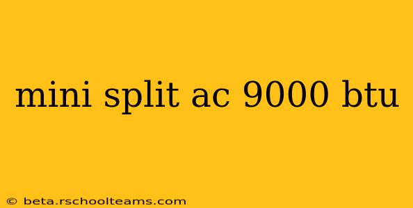 mini split ac 9000 btu