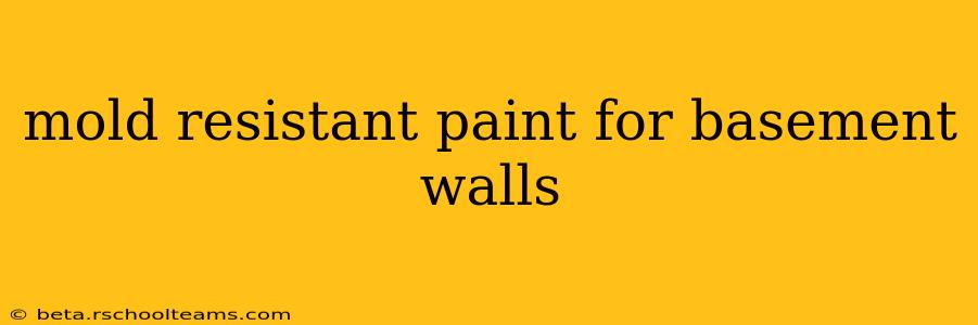 mold resistant paint for basement walls