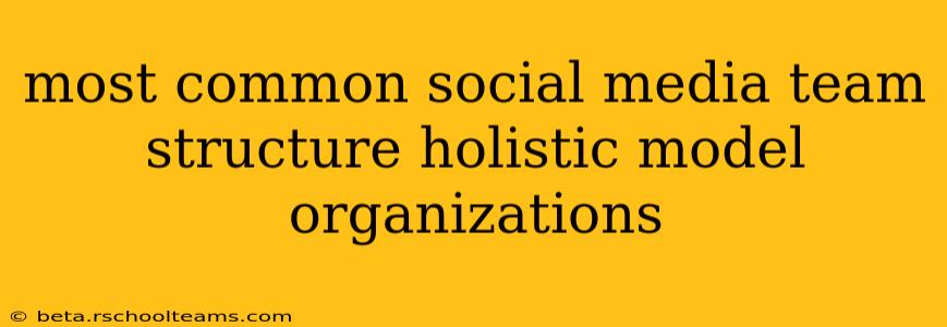 most common social media team structure holistic model organizations
