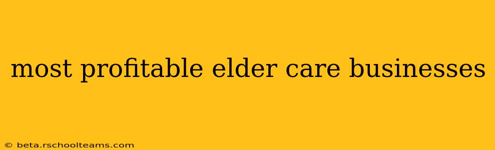 most profitable elder care businesses