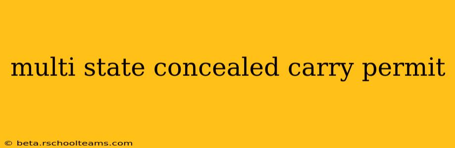 multi state concealed carry permit