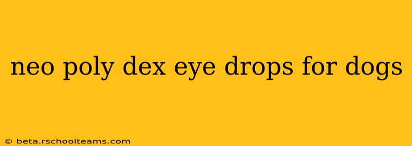 neo poly dex eye drops for dogs
