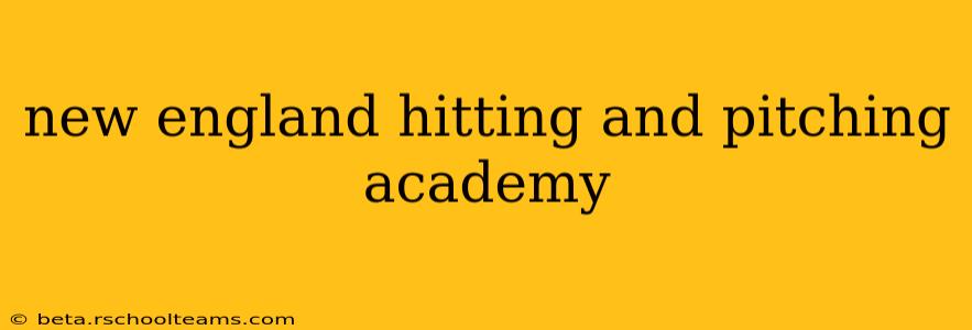 new england hitting and pitching academy