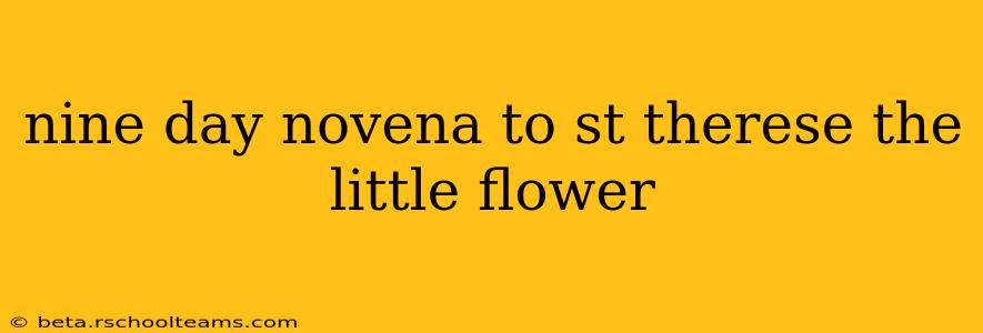 nine day novena to st therese the little flower