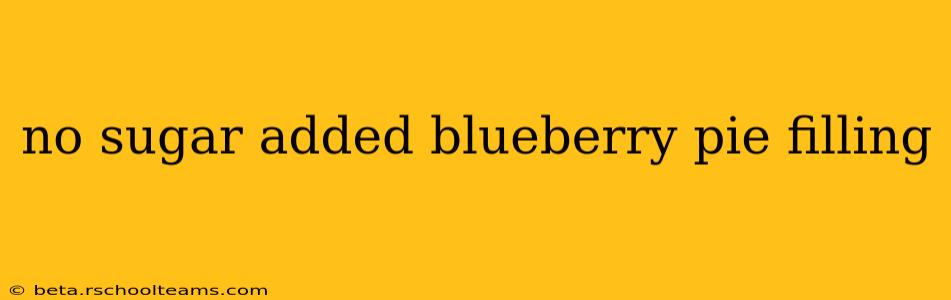no sugar added blueberry pie filling