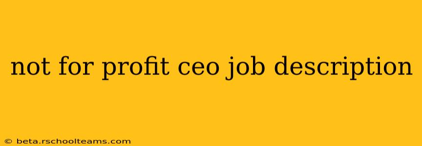 not for profit ceo job description