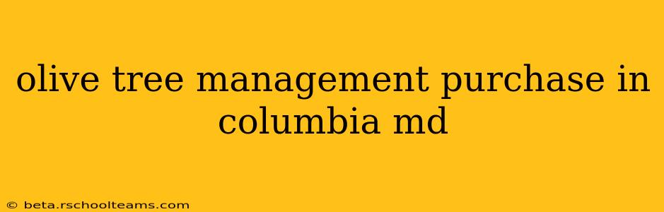 olive tree management purchase in columbia md