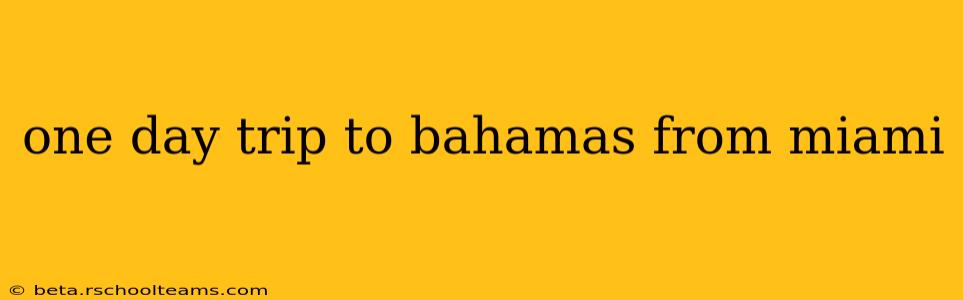 one day trip to bahamas from miami