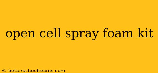 open cell spray foam kit