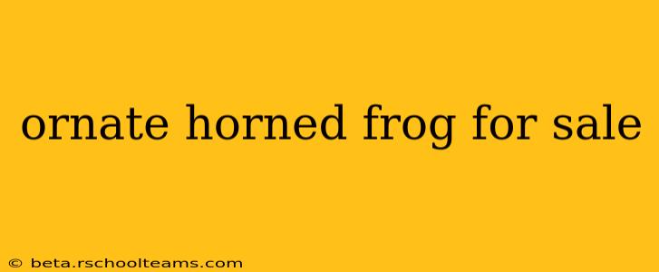 ornate horned frog for sale
