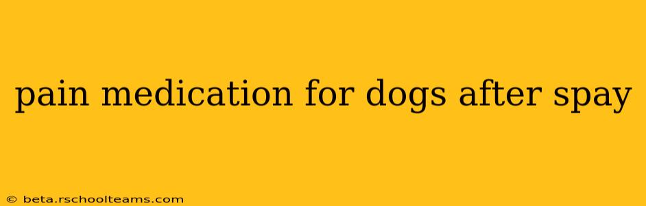 pain medication for dogs after spay