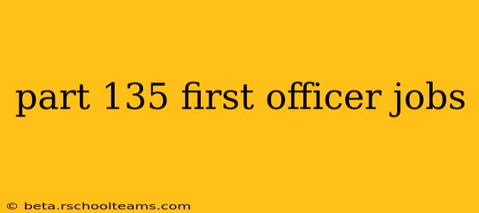 part 135 first officer jobs