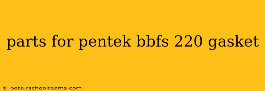 parts for pentek bbfs 220 gasket