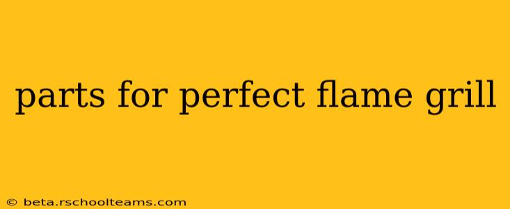parts for perfect flame grill