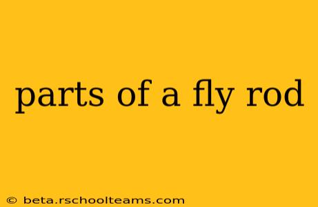 parts of a fly rod