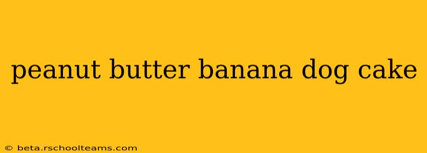 peanut butter banana dog cake