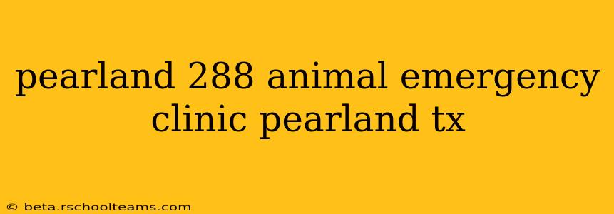 pearland 288 animal emergency clinic pearland tx
