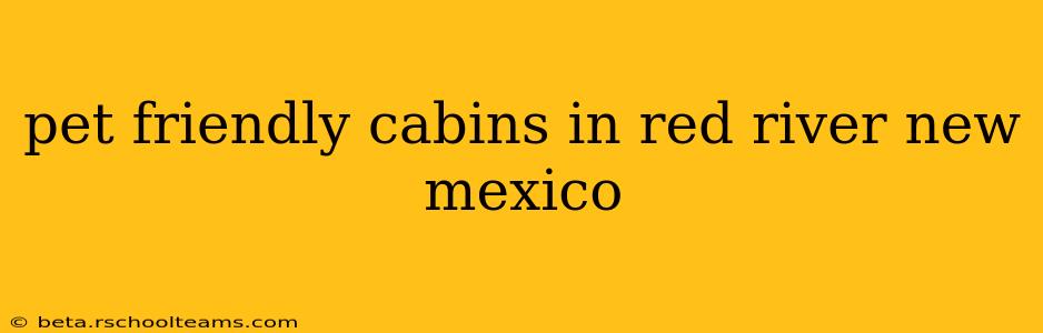pet friendly cabins in red river new mexico