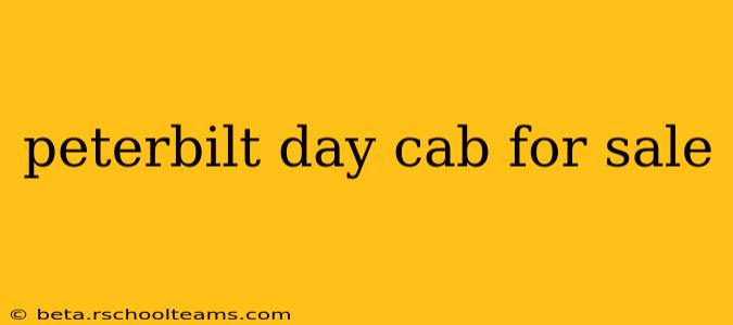 peterbilt day cab for sale