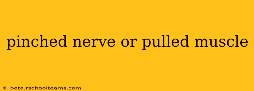 pinched nerve or pulled muscle