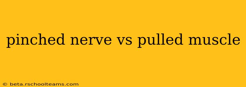 pinched nerve vs pulled muscle