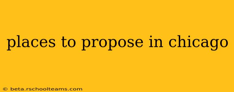 places to propose in chicago