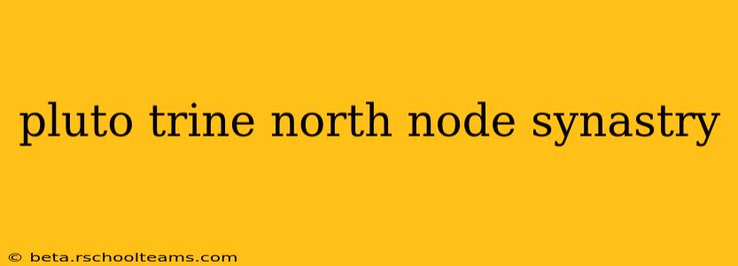 pluto trine north node synastry