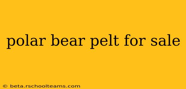 polar bear pelt for sale