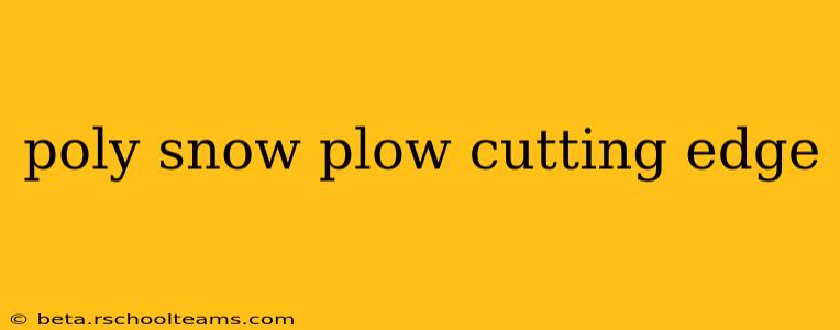 poly snow plow cutting edge
