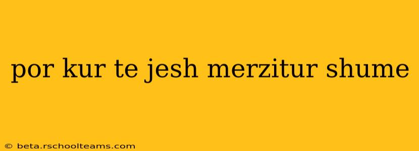 por kur te jesh merzitur shume