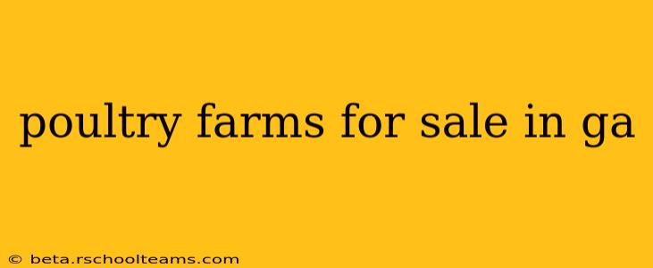 poultry farms for sale in ga