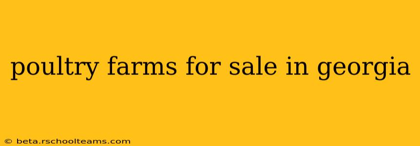 poultry farms for sale in georgia