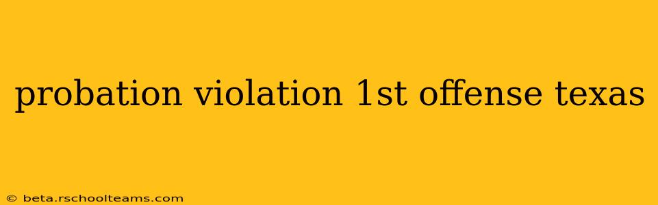 probation violation 1st offense texas