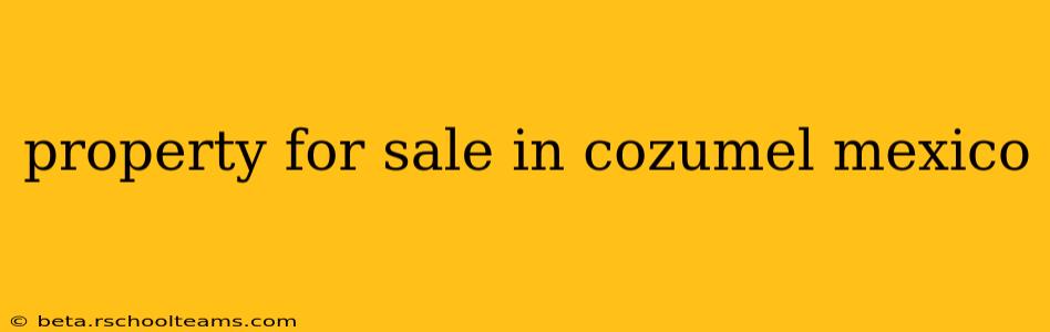 property for sale in cozumel mexico