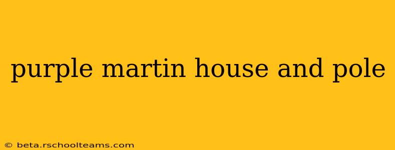 purple martin house and pole