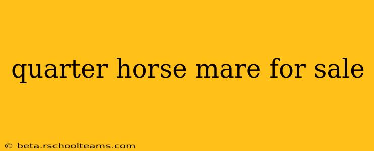 quarter horse mare for sale