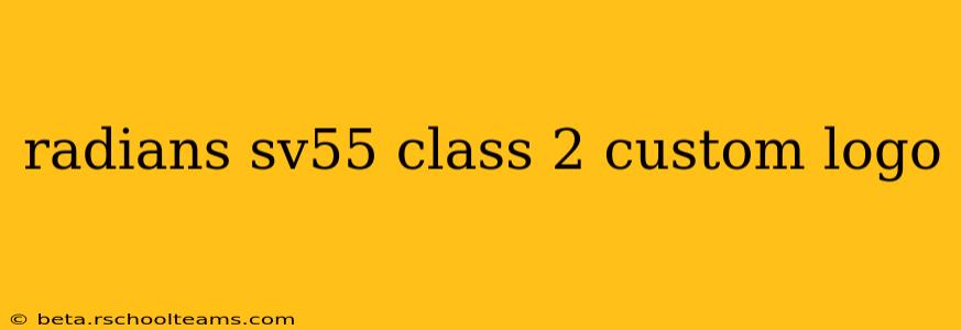 radians sv55 class 2 custom logo