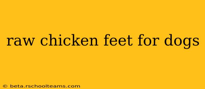 raw chicken feet for dogs