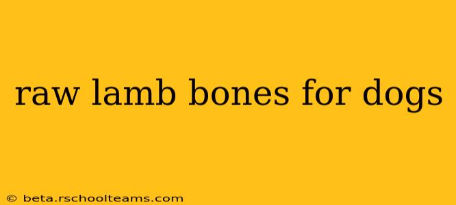raw lamb bones for dogs
