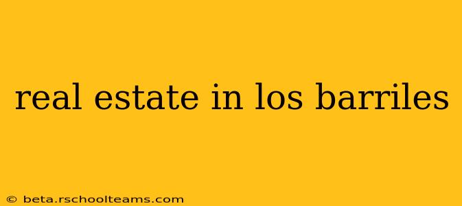 real estate in los barriles