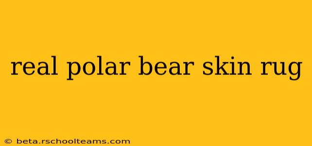 real polar bear skin rug