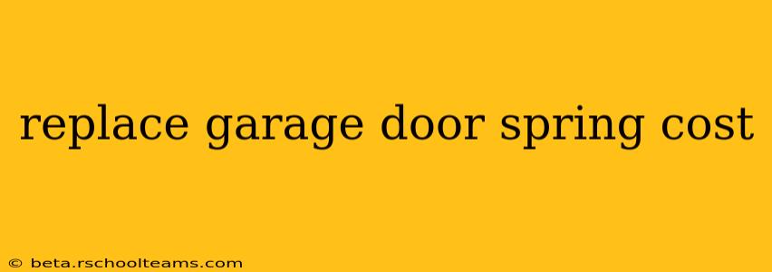 replace garage door spring cost