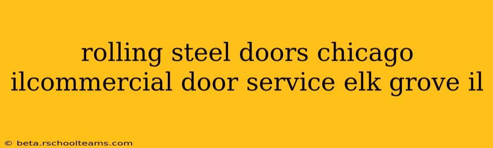 rolling steel doors chicago ilcommercial door service elk grove il