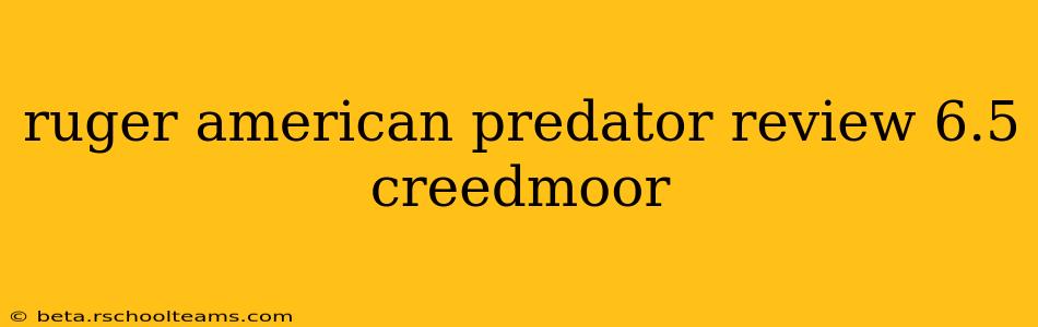 ruger american predator review 6.5 creedmoor