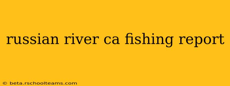 russian river ca fishing report