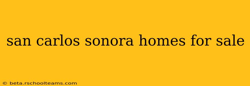 san carlos sonora homes for sale