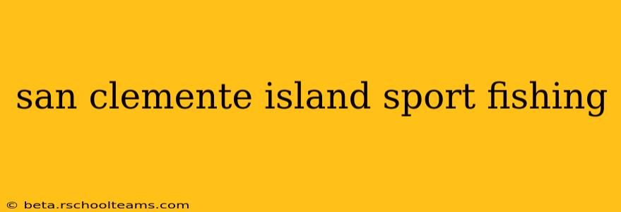 san clemente island sport fishing