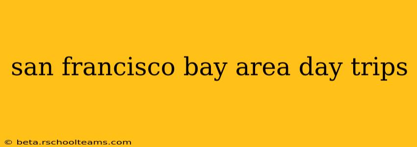 san francisco bay area day trips