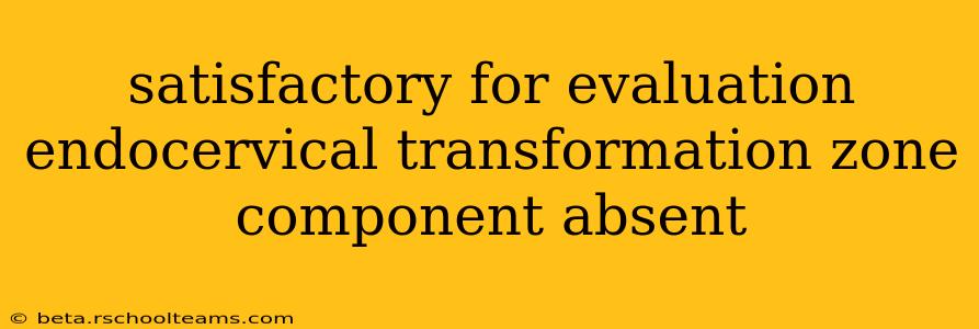satisfactory for evaluation endocervical transformation zone component absent